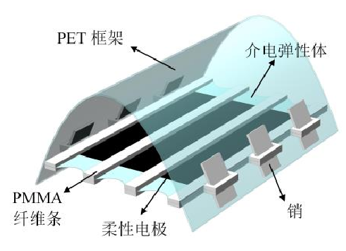 高壓放大器基于介電彈性體最小能量結構設計應用